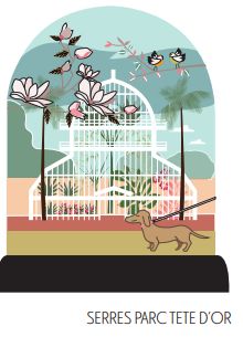 Boules à neige Lyonnaises