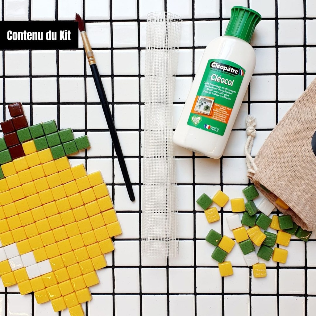 [251022_9234] Le Kit de création en Pixel Art