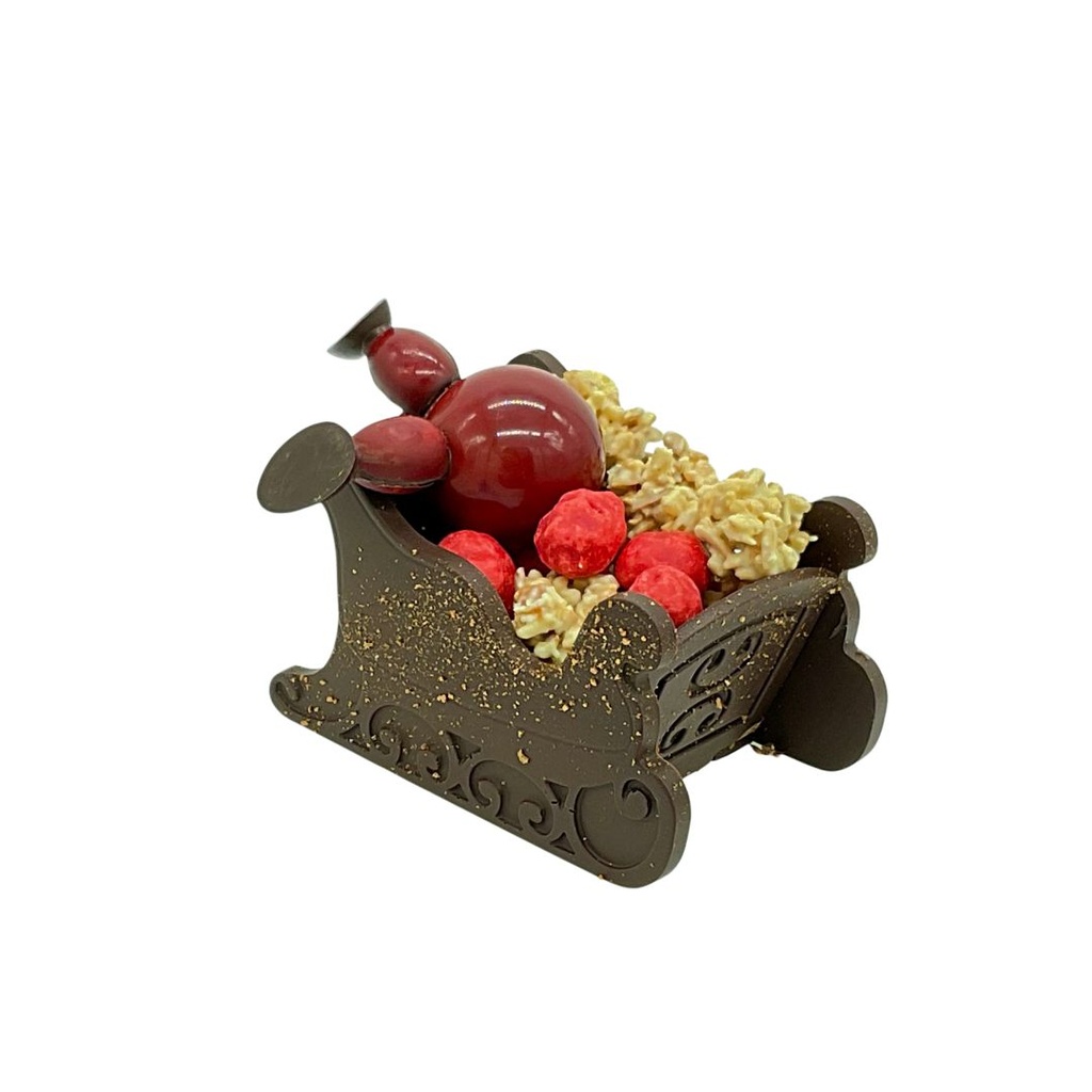 Père noël dans son traineau